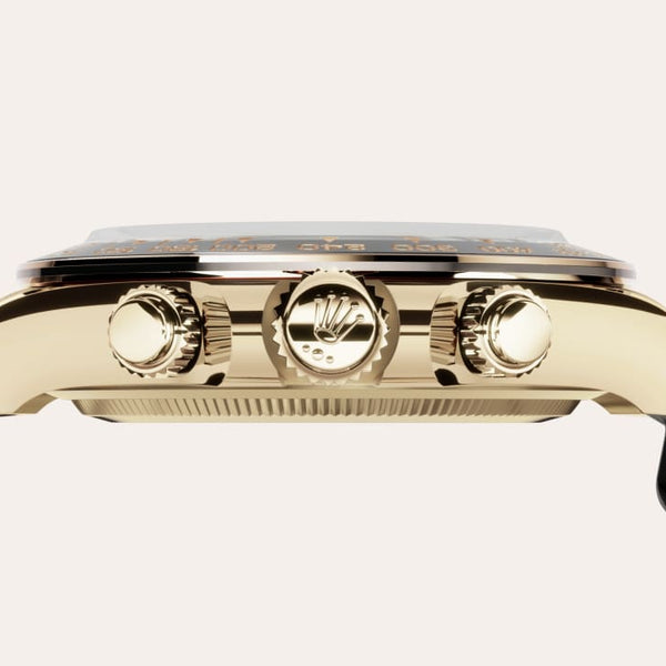 Daytona Gold Dial Multi Functional